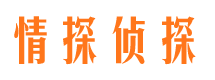 梁子湖侦探公司